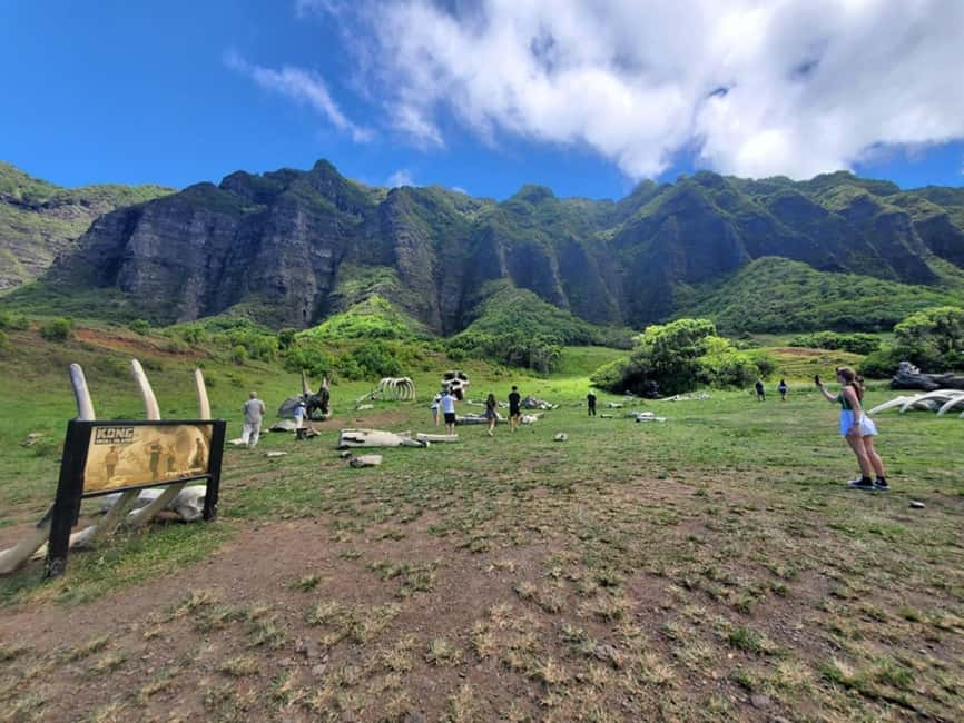 From Waikiki: Oahu Circle Island Tour - Snorkeling gives the afternoon a welcome change