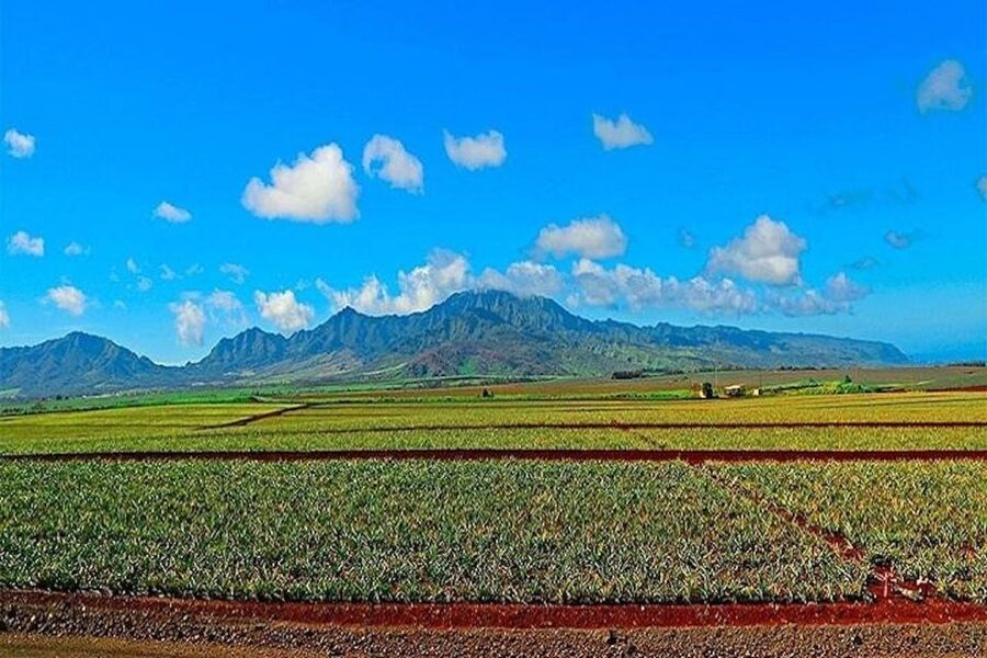 From Waikiki: Oahu Grand Circle Island Experience - Why this Oahu tour works for first-time visitors