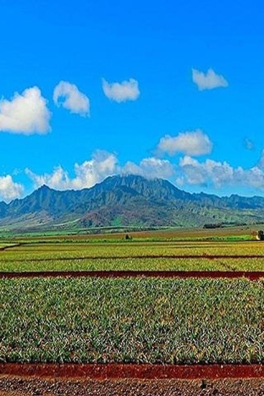 From Waikiki: Oahu Grand Circle Island Experience - The guide can shape the feel of the day