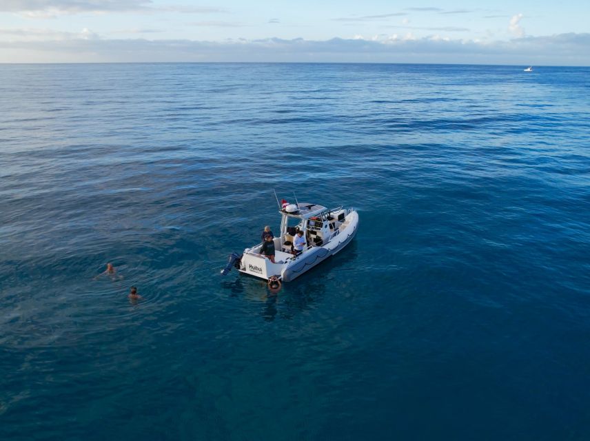 From Waikiki: Turtle Canyon Snorkeling Tour - FAQ