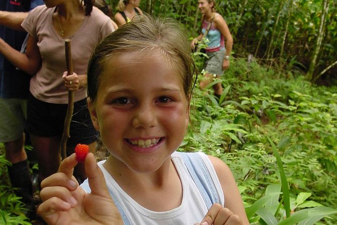 Full Day Oahu Bike, Hike, Sail and Snorkel Combo - The rainforest hike: two miles through old sacred land