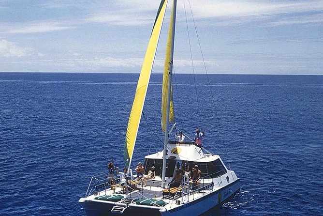 Full Day Oahu Bike, Hike, Sail and Snorkel Combo - Why the guides matter