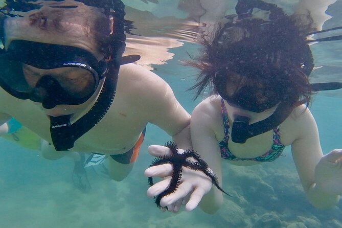 Guided Snorkel Tour for Beginners in Honolulu - Guides who focus on calm, clear support