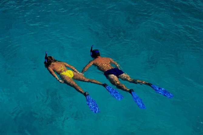Half Day Oahu Combo Adventure: Bike, Sail and Snorkel - From Waikiki to the forested slopes of Tantalus
