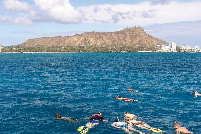 Half Day Oahu Combo Adventure: Bike, Sail and Snorkel - Five miles downhill, with real curves and real responsibility