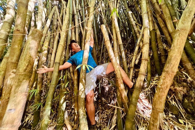 Half-Day Waterfall Tour - Hike, Scenic, Food and Photo - Why the unnamed waterfall is the main attraction