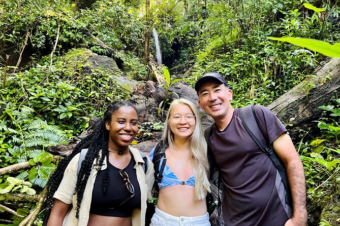 Half-Day Waterfall Tour - Hike, Scenic, Food and Photo - Tantalus Lookout brings a change of pace