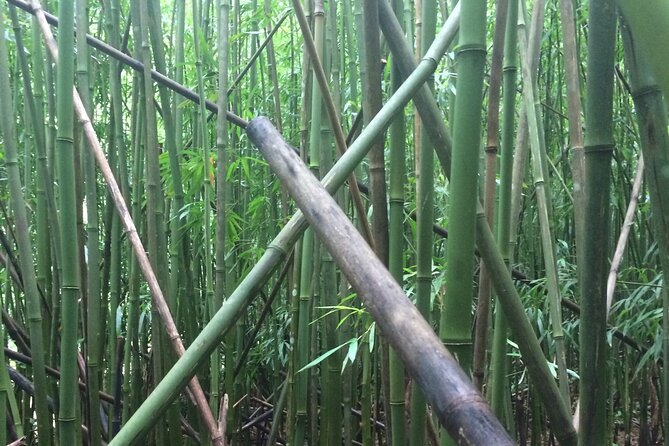 Hidden Hawaii Tours - What the small group changes