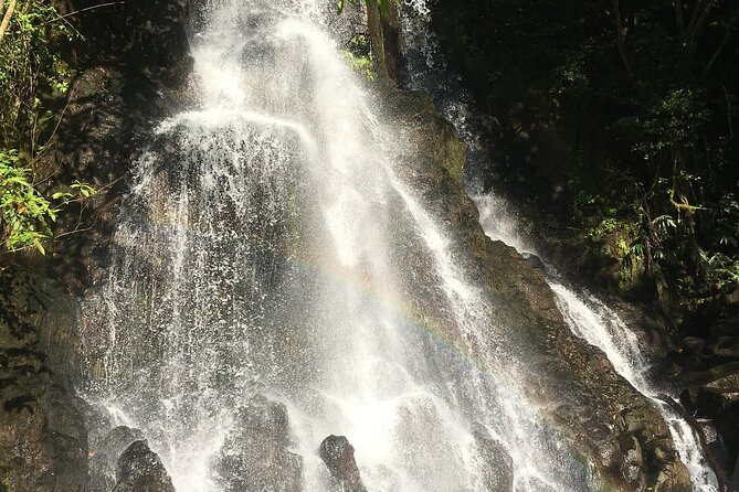Hidden Hawaii Tours - What the $150 price really covers