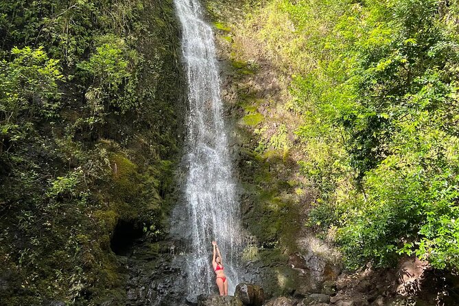 Hike to a Tropical Waterfall - pick up included - Pickup from four Honolulu areas