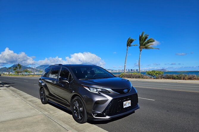 Honolulu Airport, Cruise Port and Hotels Private Transfer - Airport pickup, with a full hour to get organized
