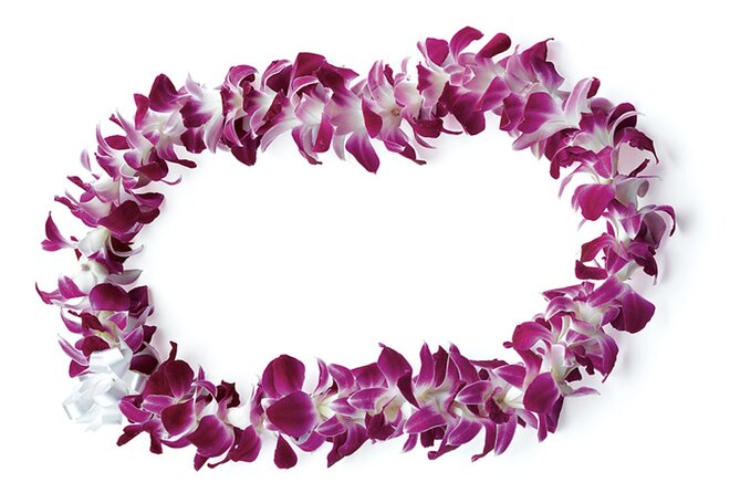 Honolulu Airport: Waikiki Private Transfer With Lei Greeting - Meeting your driver after baggage claim