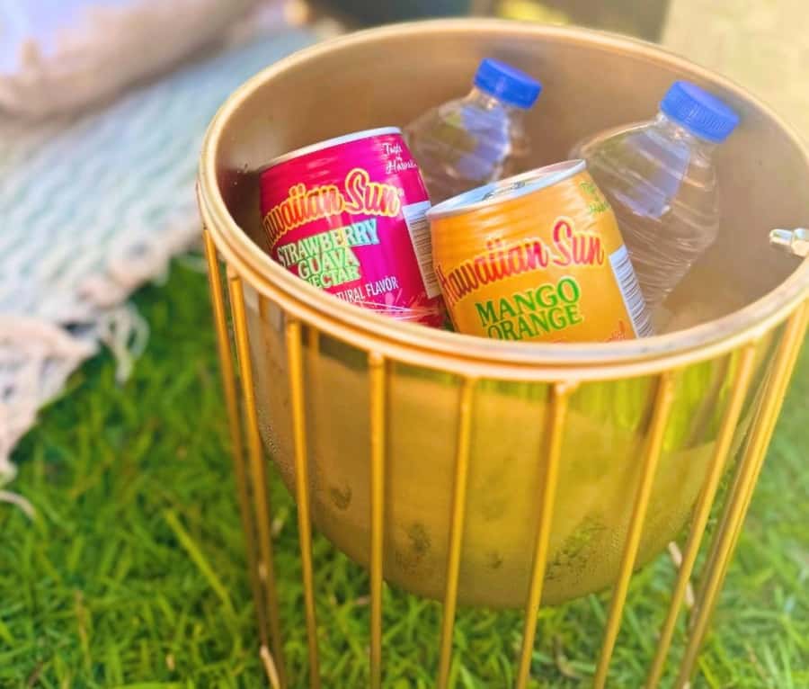 Honolulu: Beachside Luxury Picnic & Paint - Key details at a glance