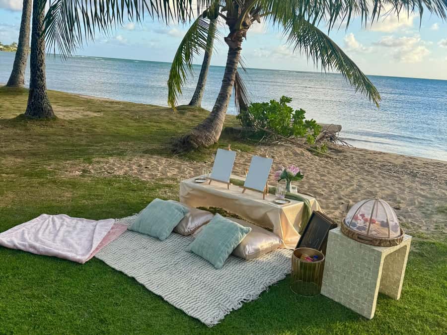 Honolulu: Beachside Luxury Picnic & Paint - A picnic with real attention to comfort