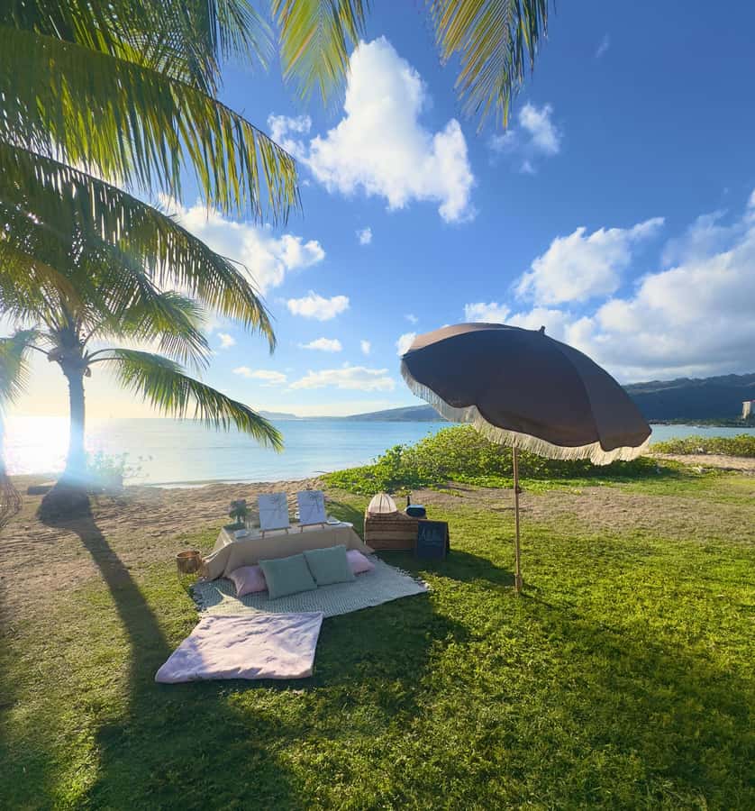 Honolulu: Beachside Luxury Picnic & Paint - Photos that capture more than the finished painting
