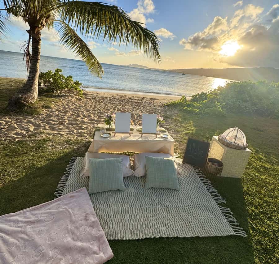 Honolulu: Beachside Luxury Picnic & Paint - Booking tips for a smoother visit