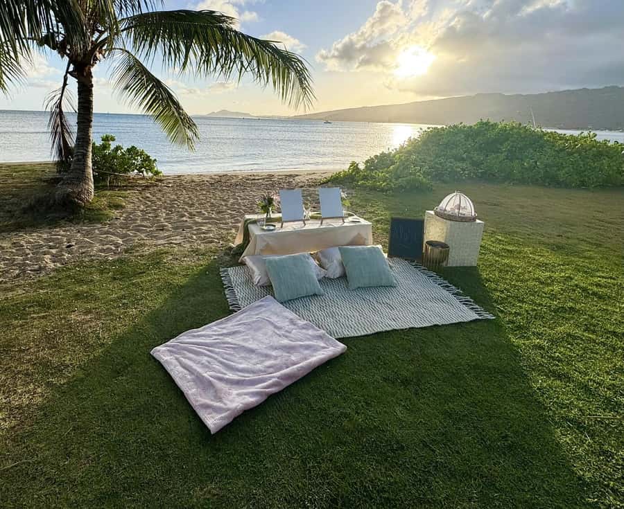Honolulu: Beachside Luxury Picnic & Paint - How the two-hour session unfolds
