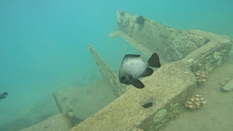 Honolulu: Beginner Scuba Diving Tour With Free Videos - The opening briefing and gear fitting