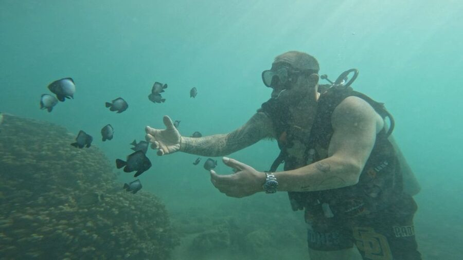 Honolulu: Beginner Scuba Diving Tour With Free Videos - Who will get the most from this experience