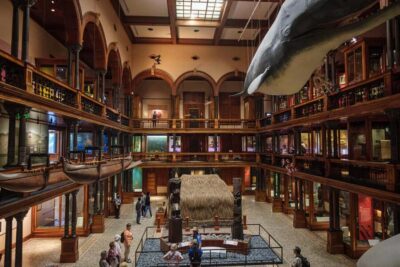 Bishop Museum General Admission Ticket