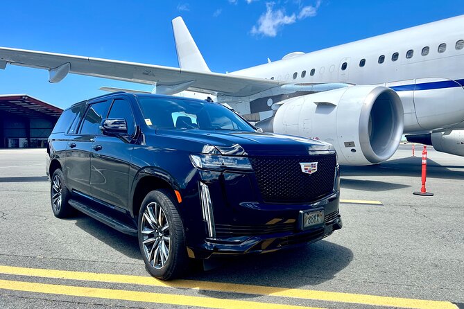Honolulu Business Airport Transfer to/from Hotel, Cruise - Key points to know before booking