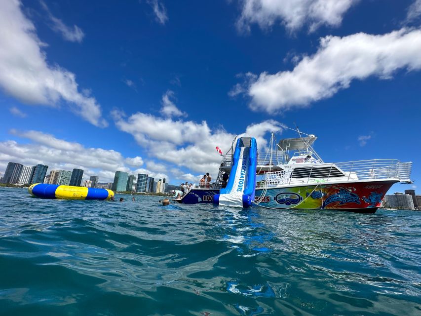 Honolulu: Deluxe Waikiki Snorkel and Wildlife Cruise - The 20-foot slide and water trampoline