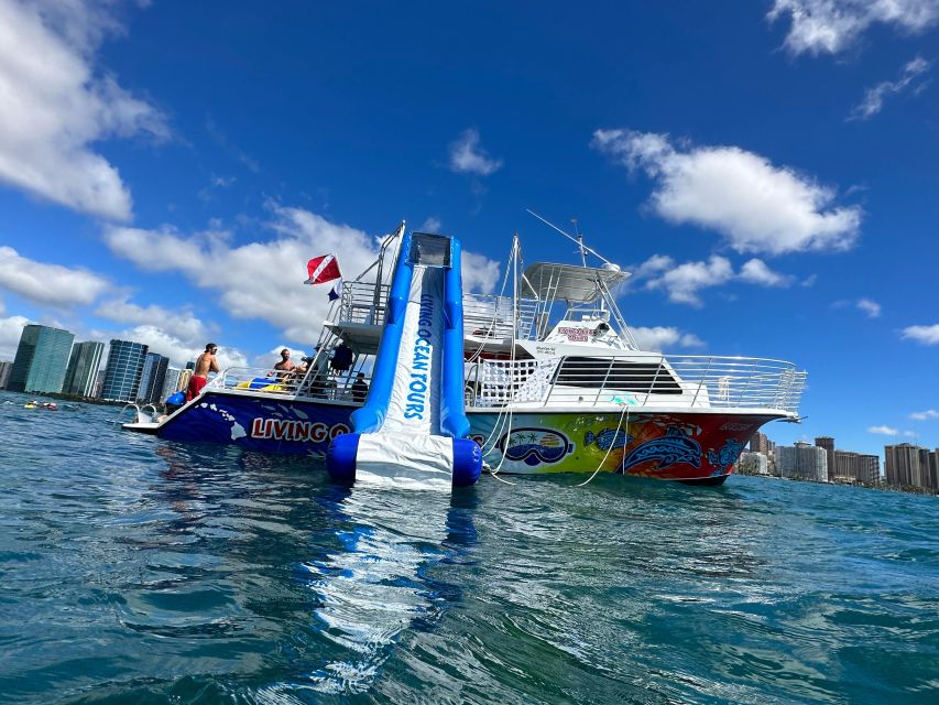 Honolulu: Deluxe Waikiki Snorkel and Wildlife Cruise - Ninety minutes near Waikiki