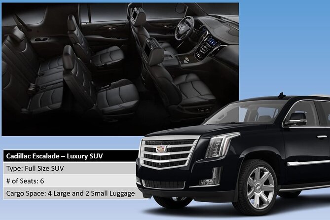 Honolulu Harbor Cruise Terminal Transfer by Luxury Vehicle - The vehicles and luggage question