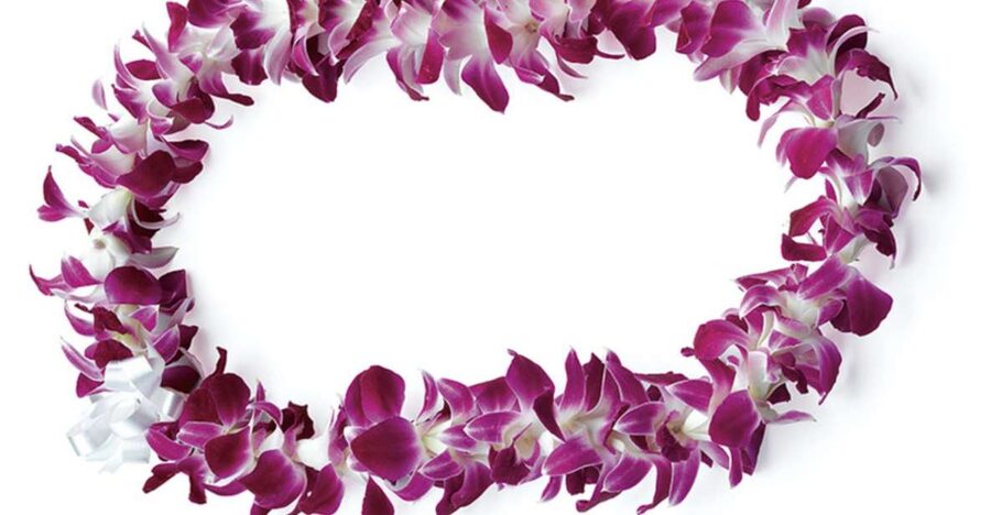 Honolulu: Private Airport Transfer with Arrival Lei Greeting - A calm first half-hour in Honolulu