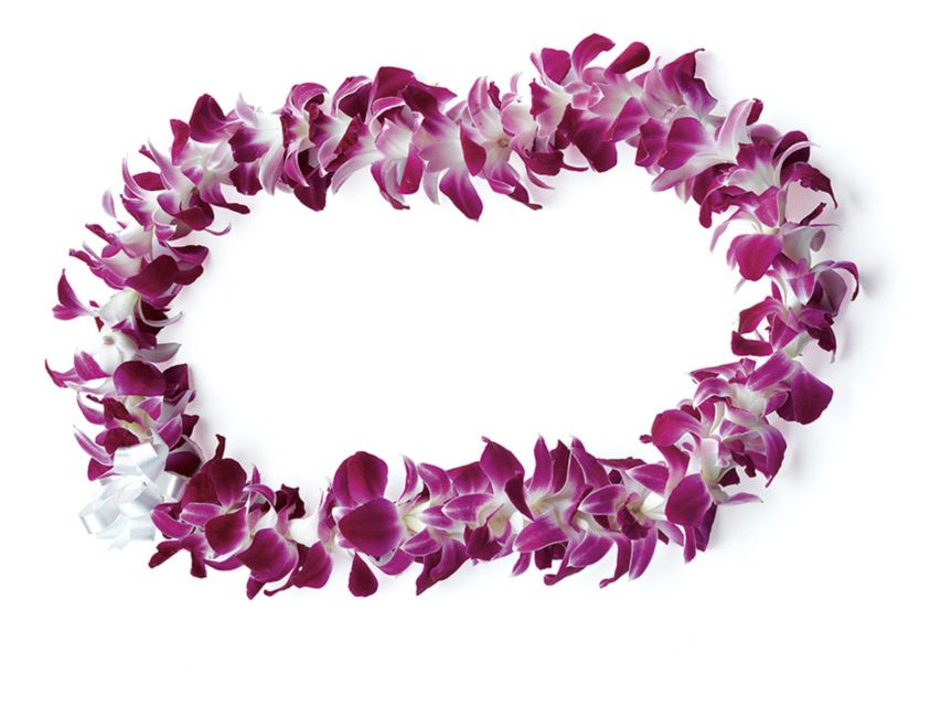 Honolulu: Private Airport Transfer with Arrival Lei Greeting - How the airport meeting works