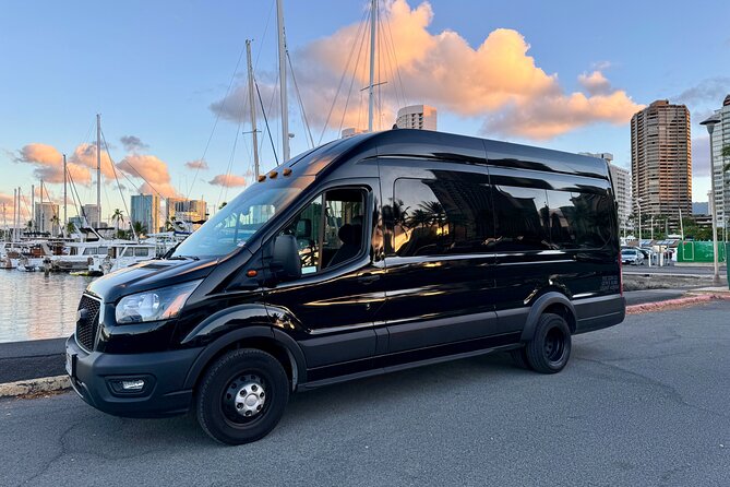Honolulu Private Transfer: Airport, Port, Hotel (1-12 Passengers) - A private van that solves Honolulu arrival headaches
