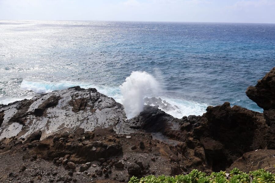 Honolulu: Stunning Views of Oahu! Half-day Scenic Tour - Transportation that keeps the morning simple