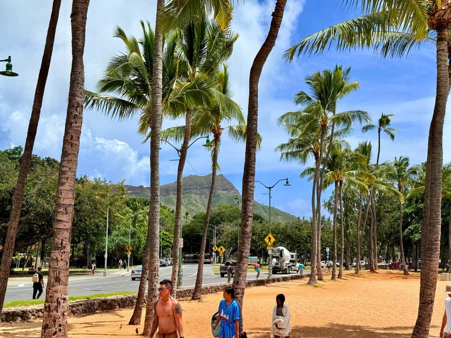 Honolulu: Waikiki Food Tour with Local Guide - Artisanal shave ice under the Hawaiian sun