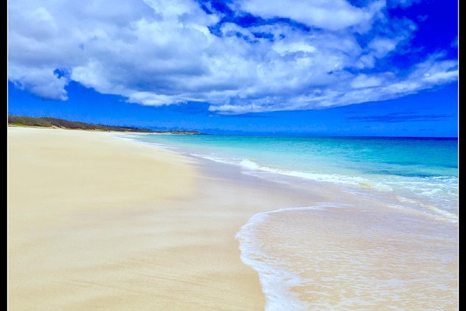 Incredible west side hidden gems -PLEASE CONTACT BEFORE BOOKING - Six hours in a private vehicle