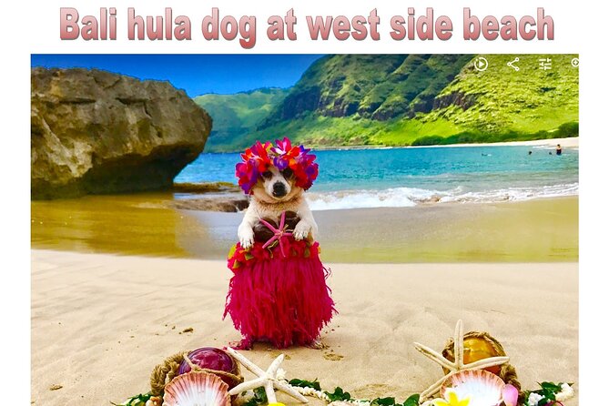 Incredible west side hidden gems -PLEASE CONTACT BEFORE BOOKING - Is $530 per person good value?