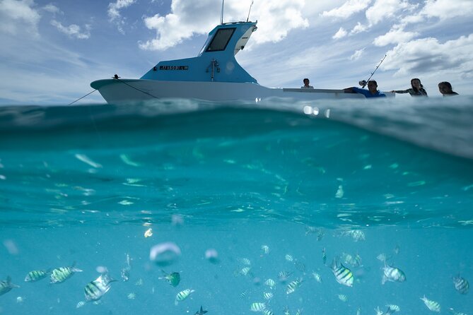 Kayak, Snorkel, and Surf with Turtles in Honolulu - Paddling over Waikiki’s coral reef