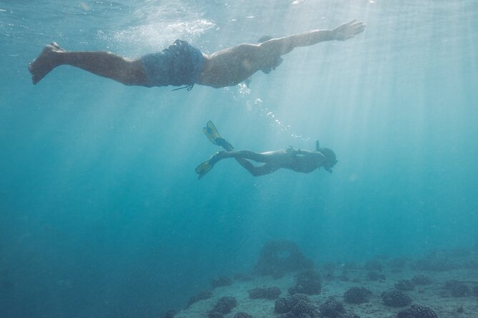 Kayak, Snorkel, and Surf with Turtles in Honolulu - Is $200 a fair price?