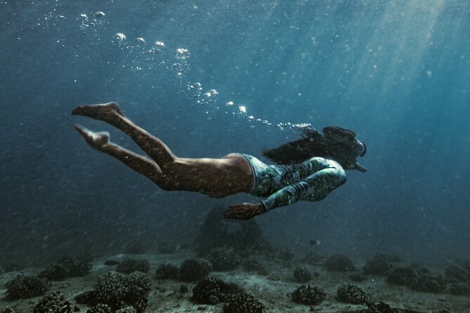 Kayak, Snorkel, and Surf with Turtles in Honolulu - Pickup, timing, and what to plan for