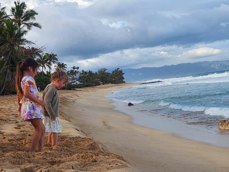 Kevo's Beach Bus - Why this North Shore day works