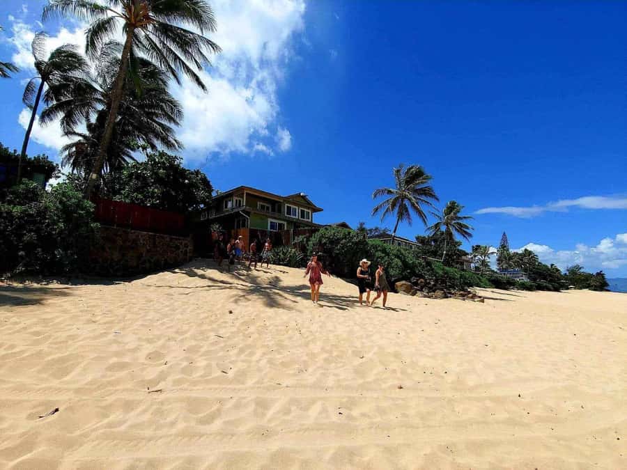 Kevo's Beach Bus - One hour at Waimea Bay