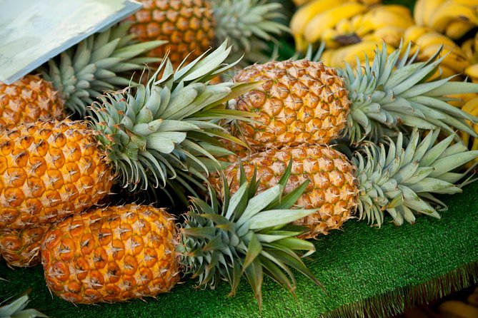 Local Expert Private Tours - The North Shore in one long day