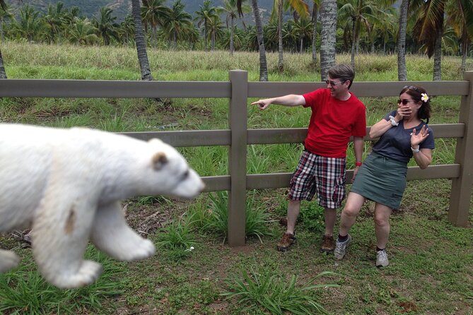 'Lost' and Movie Tour - Should you book the Lost and Movie Tour?