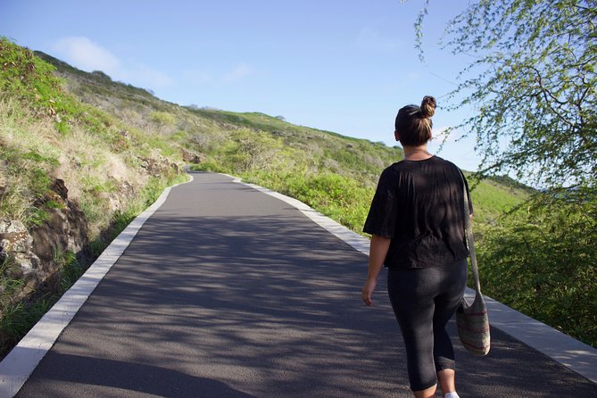 Makapu’u Lighthouse Trail and Shuttle Service - Whale watching from November through April