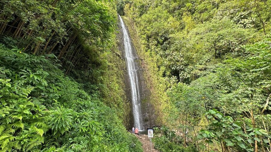 Manoa Falls eBike to Hike - Why the e-bike approach works so well