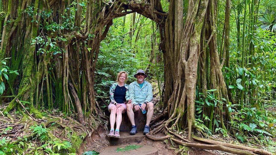 Manoa Falls eBike to Hike - The Mānoa Falls trail and its changing conditions