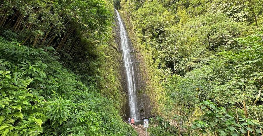 Manoa Falls eBike to Hike - What the $169 price covers
