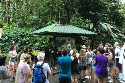 Manoa Falls Rainforest & Self-Guided Hike