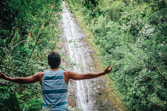 Manoa Waterfall Hike with Waikiki Pickup & Healthy Lunch - Reaching the 150-foot Manoa Falls