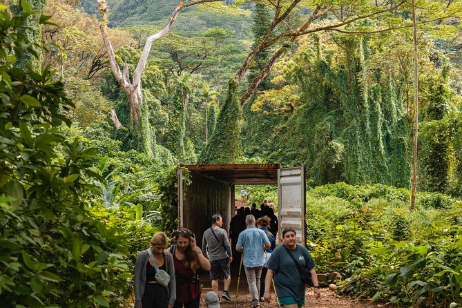 Manoa Waterfall Hike with Waikiki Pickup & Healthy Lunch - Who will enjoy this Oahu outing most?