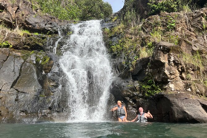 North Shore day,Waterfalls and Turtles Tour - A full North Shore day, not just a waterfall stop